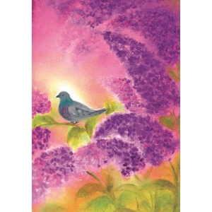 Oliepastelkaart De Duif - per 10 stuks