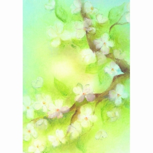 Oliepastelkaart Bloesem - per 10 stuks