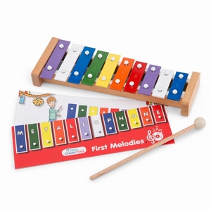 Xylofoon - 10-toons - recht 26cm - met muziekboek