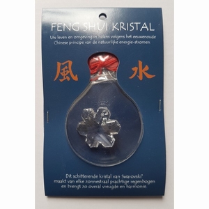 Swarovski - Sneeuwvlok 30mm - Feng Shui kaartje
