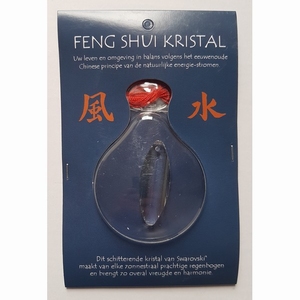 Feng Shui Kristal - Ovaal Smal 38x14mm