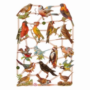 Poëzieplaatje (10st) Vogels