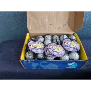 Knikkers Flamingo Mexico netje 2x 42mm