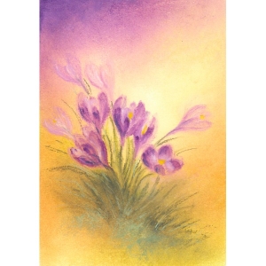 Oliepastelkaart Krokus - per 10 stuks