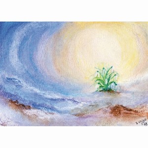Oliepastelkaart Sneeuwklokje (klein) per 10 stuks