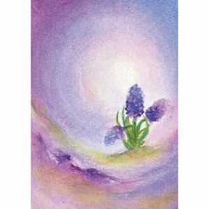 Oliepastelkaart De Hyacint - per 10 stuks