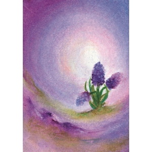 Oliepastelkaart De Hyacint - per 10 stuks