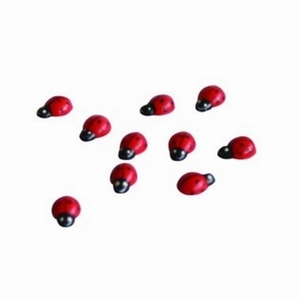 Plakker Lieveheersbeest 1 cm 300st/doosje (14063.1)