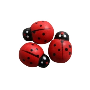 Plakker Lieveheersbeest 2 cm 150 stuks (14031)