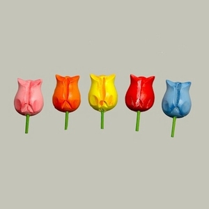 Plakker Tulp 5 kleuren 50 stuks (14045)
