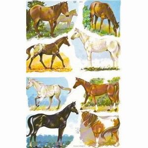 Poëzieplaatje (10st) Paarden