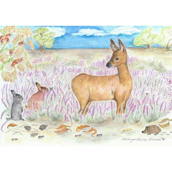 Ansichtkaart 1.42 Heide in Bloei - 10 stuks (nog 1x)