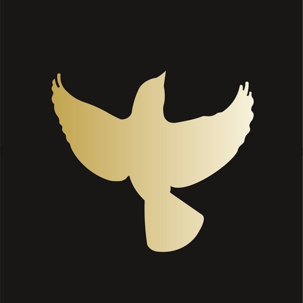 Asfour Kristal - Achthoek enkel gat 20 mm, nog 5x!