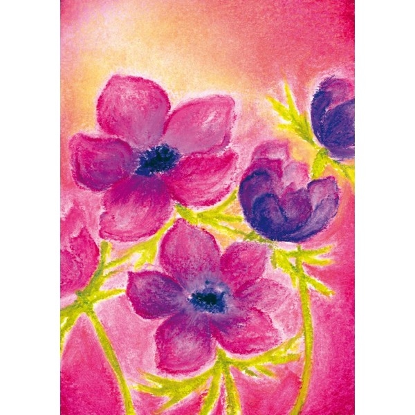 Oliepastelkaart Anemoon - per 10 stuks