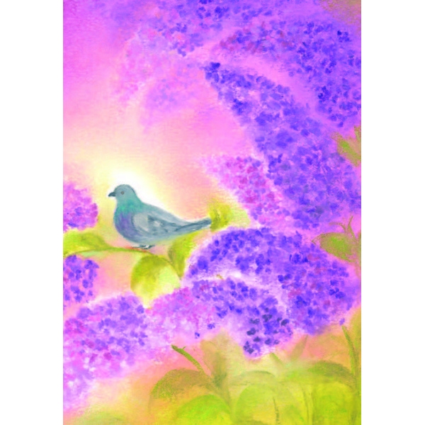 Oliepastelkaart De Duif - per 10 stuks