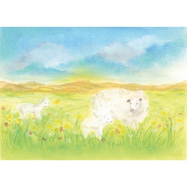 Oliepastelkaart Het Schaap - per 10 stuks