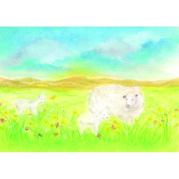 Oliepastelkaart Het Schaap - per 10 stuks