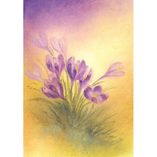 Oliepastelkaart Krokus per 10 stuks