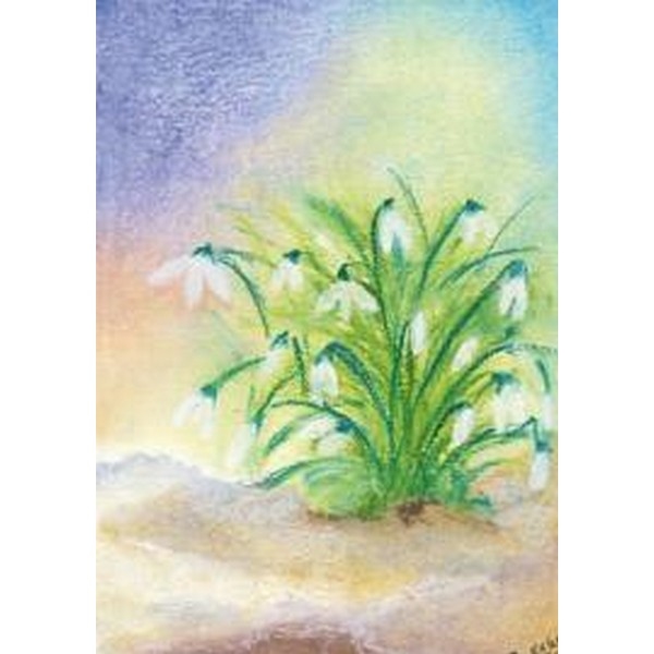 Oliepastelkaart Sneeuwklokje (groot) - per 10 stuks, uitverkocht