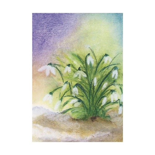 Oliepastelkaart Sneeuwklokje (groot) - per 10 stuks