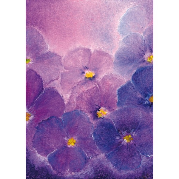 Oliepastelkaart Viooltjes - per 10 stuks