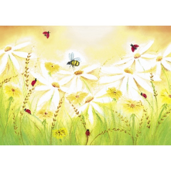 Oliepastelkaart Zomerweide - per 10 stuks