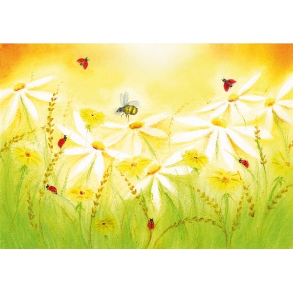 Oliepastelkaart Zomerweide - per 10 stuks