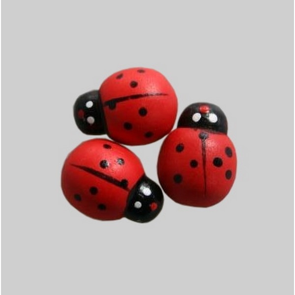 Plakker Lieveheersbeest 2 cm 150 stuks (14031)