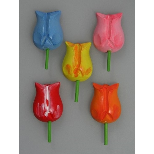 Plakker Tulp 5 kleuren 50 stuks (14045)