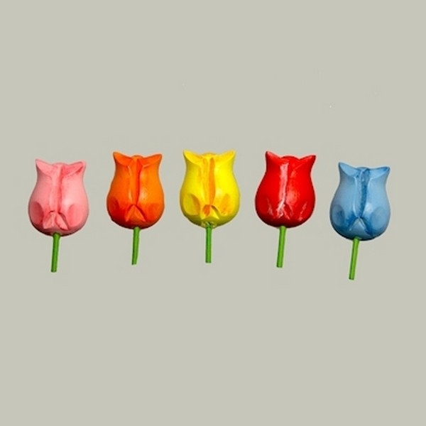 Plakker Tulp 5 kleuren 50 stuks (14045)