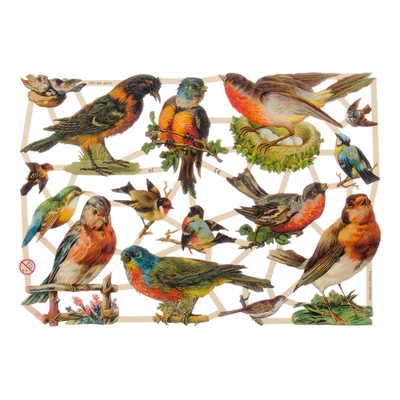 Poëzieplaatje (10st) Vogels