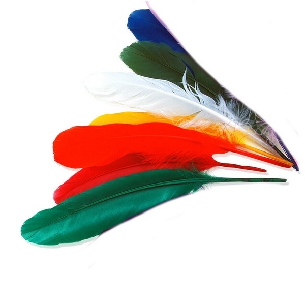 Veren - Indianenveren / gemengd 15 cm - 5 stuks