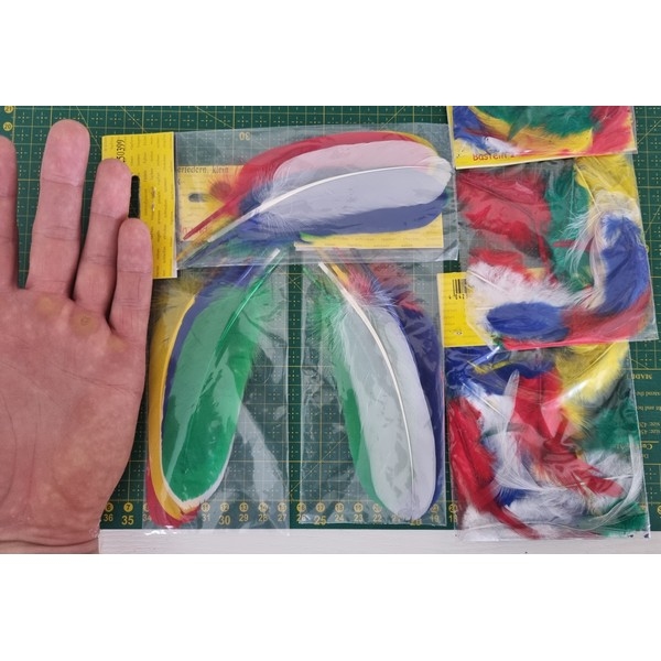 Veren - Indianenveren / gemengd 15 cm - 5 stuks