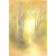 Oliepastelkaart Berkenbos per 10 stuks